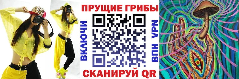 Псилоцибиновые грибы ЛСД  Купить  Полесск 